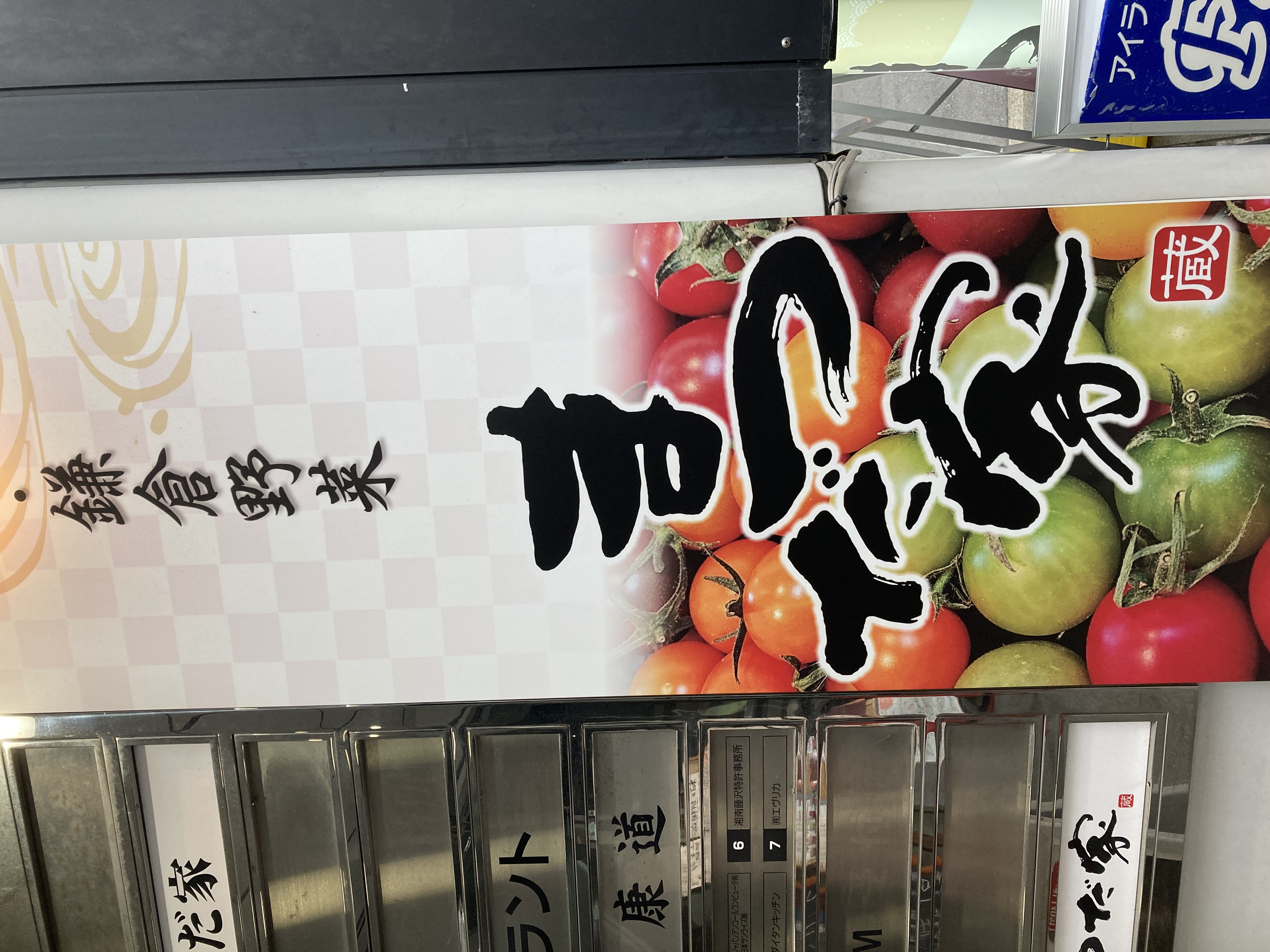 海鮮・鎌倉野菜 まつだ家