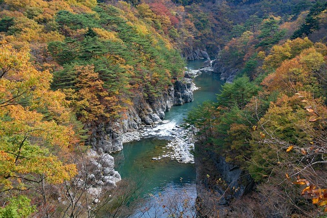 栃木プチ旅行